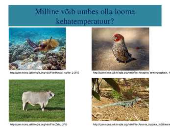Kõigusoojasus ja püsisoojasus-raskete aegade üleelamine #9