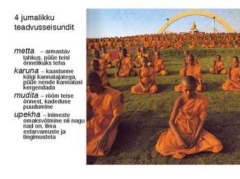 Budism #19