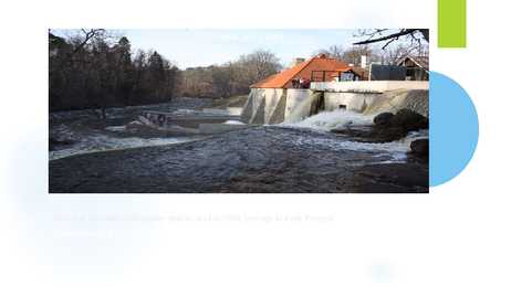 DAMS #11