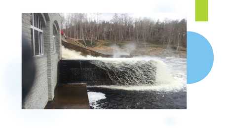 DAMS #9