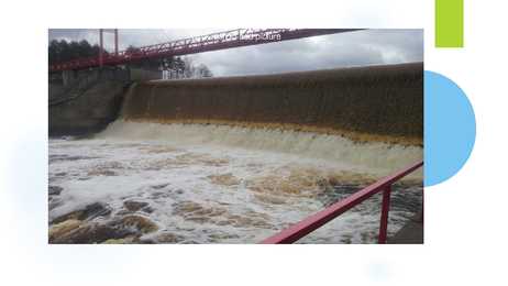DAMS #10