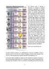 Business peciliarities in Ukraine and Bealrus #31