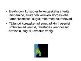MEHE SUGUELUNDITE EHITUS JA TALITLUS #18