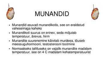 MEHE SUGUELUNDITE EHITUS JA TALITLUS #21