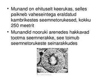 MEHE SUGUELUNDITE EHITUS JA TALITLUS #22