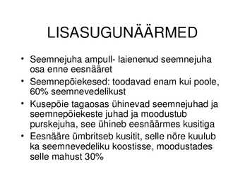 MEHE SUGUELUNDITE EHITUS JA TALITLUS #28