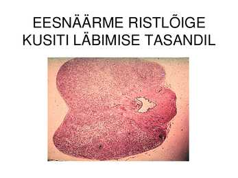 MEHE SUGUELUNDITE EHITUS JA TALITLUS #32