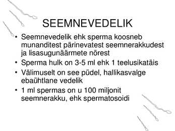 MEHE SUGUELUNDITE EHITUS JA TALITLUS #33