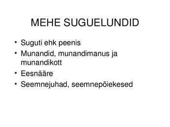 MEHE SUGUELUNDITE EHITUS JA TALITLUS #7
