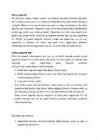 Magnetid #2