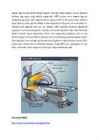 Magnetid #4