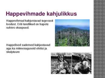 Happevihmad #4