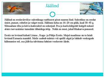 Jäälind ja Vesipapp #3