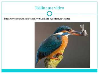 Jäälind ja Vesipapp #5