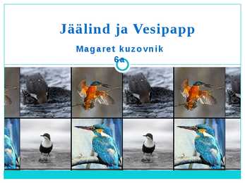 Jäälind ja Vesipapp