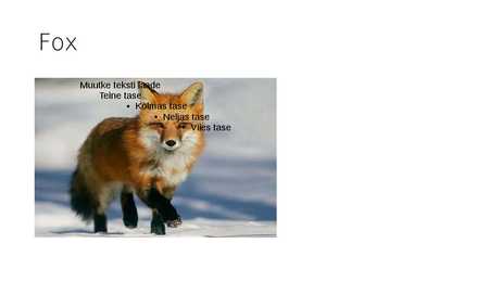 Animals in Estonian forest #2