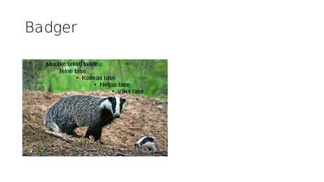 Animals in Estonian forest #4