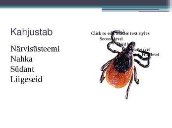 Borrelioos #5