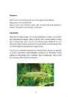 Haug #3
