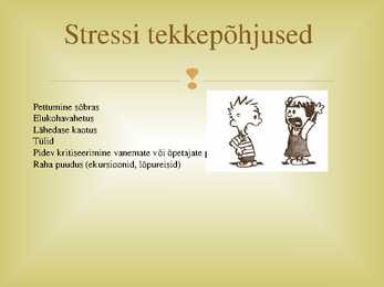 Negatiivne stress gümnasisti elus #6