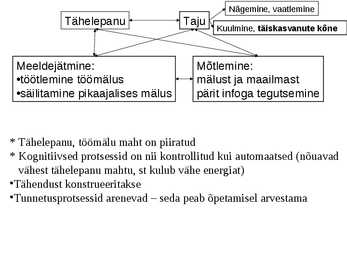 Kognitiivsed protsessid-Areng ja roll õppimisel #2