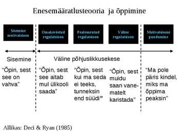 Motivatsioon ja motiveerimine #17