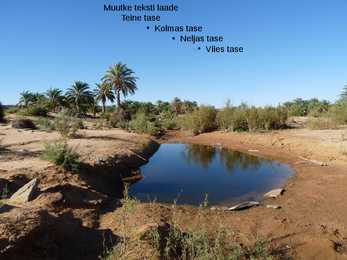 Sahara #4
