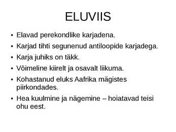 SEBRA #4