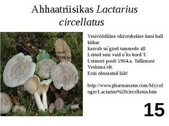 Ülevaade riisikatest #15