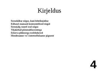 Ülevaade riisikatest #4