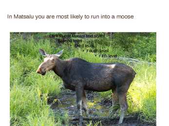 Matsalu rahvuspark inglisekeelne esitlus #12