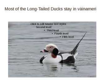 Matsalu rahvuspark inglisekeelne esitlus #6