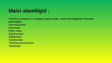 Mais #3