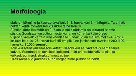 Mais #4
