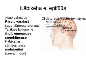 Endokriinnäärmed e-sisenõrenäärmed #7