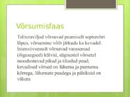 Võrsumine #6