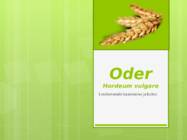 Oder Kodune töö