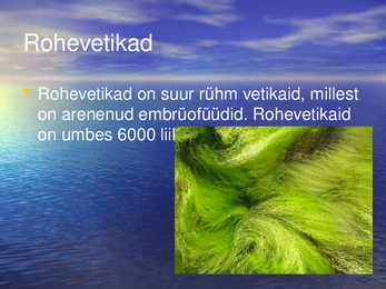 Vetikad läänemere elustikus #4