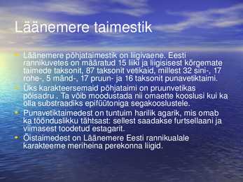 Vetikad läänemere elustikus #7