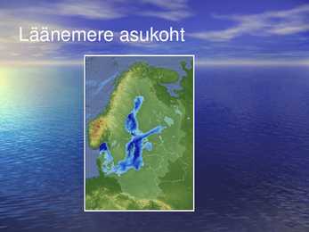 Vetikad läänemere elustikus #9