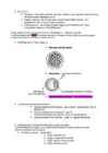 Embrüoloogia #2