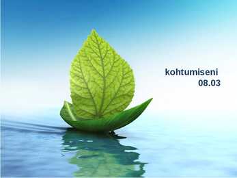 Personalijuhtimise kontekst ja personalitöö korraldamine #19
