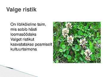 Pärandkooslused ja nende kaitse #11