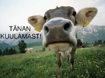 Pärandkooslused ja nende kaitse #13