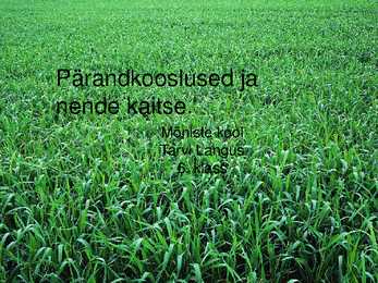 Pärandkooslused ja nende kaitse