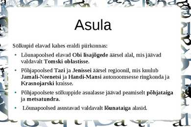 Sölkupid #2