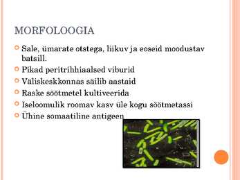 Clostridium Tetani #2