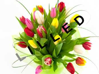 LILLED