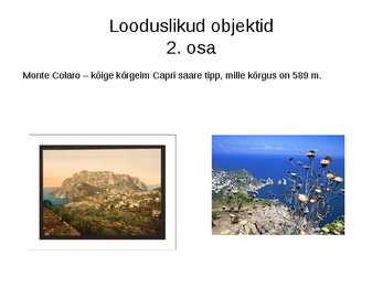 Capri saar #7