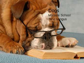Dogs